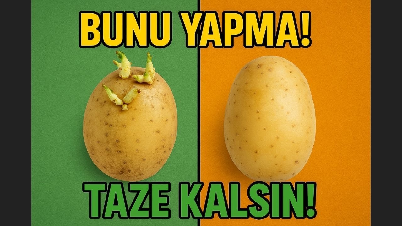 Patates Filizlenmesini Önlemenin Bilimsel Yolu | Patatesi Aylarca Taze Tutmanın 8 Püf Noktası!