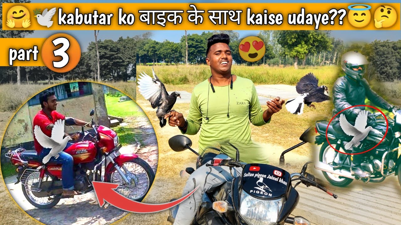 🤗🕊️kabutar ko bike ke sath kaise udaye??😇🤔 by Sultan pigeon Jainul Khan