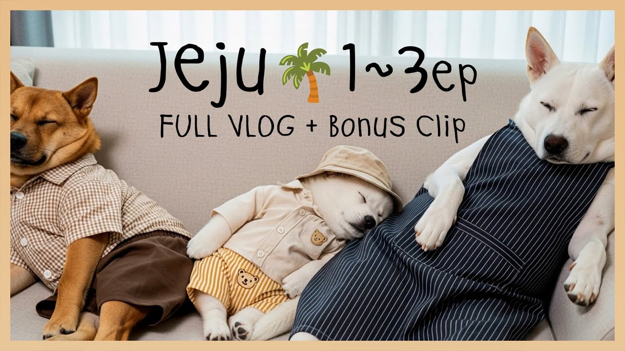 제주여행 몰아보기🌴 1~3편 + 보너스 영상까지!