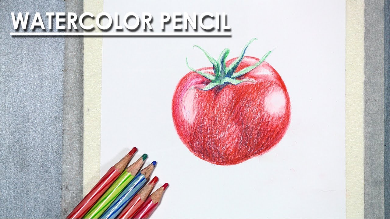 Learn How to Draw A Realistic Tomato with Watercolor Pencil