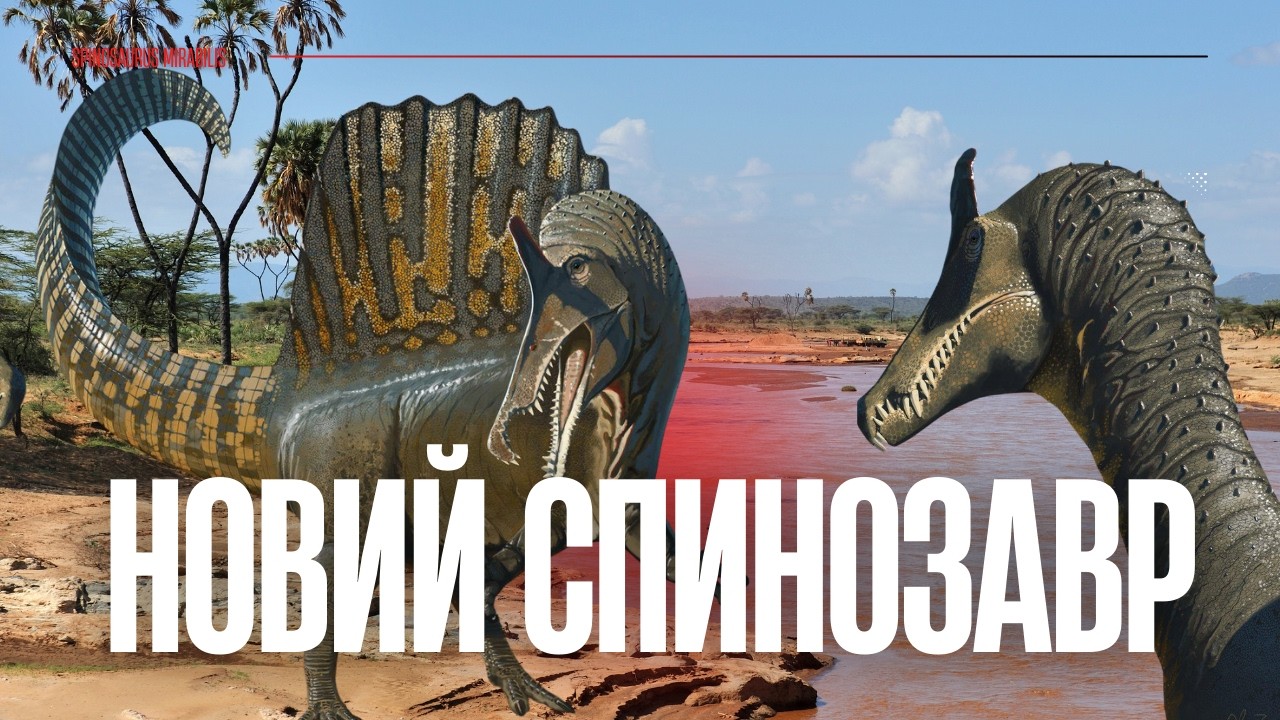 Не переслідував здобич під водою. Новий вид розкриває таємниці еволюції спинозаврів.