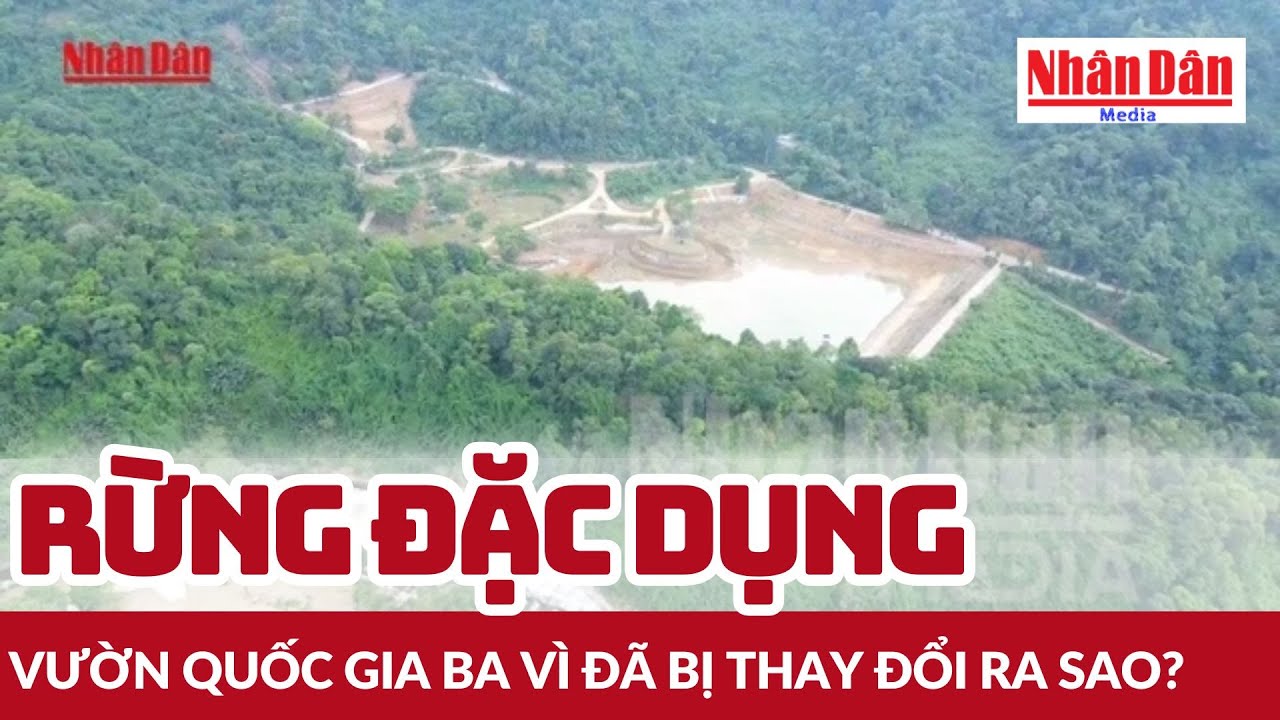 Rừng đặc dụng Vườn quốc gia Ba Vì đã bị thay đổi ra sao? | Báo Nhân Dân