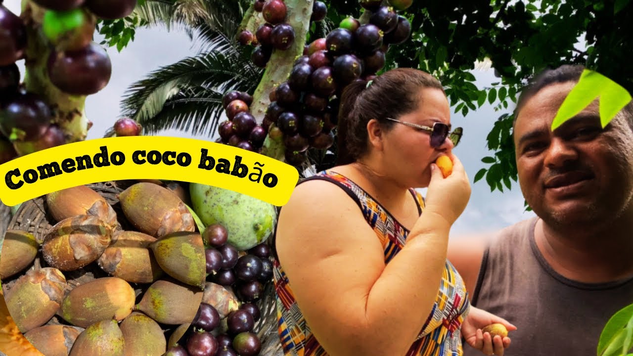 O CHÃO ESTAVA FORRADO DE COCO BABÃO + TIRAMOS JABUTICABAS E MANGA. 