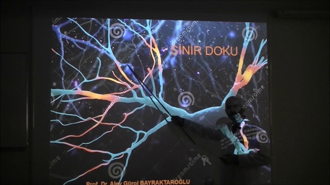 SİNİR DOKUSU