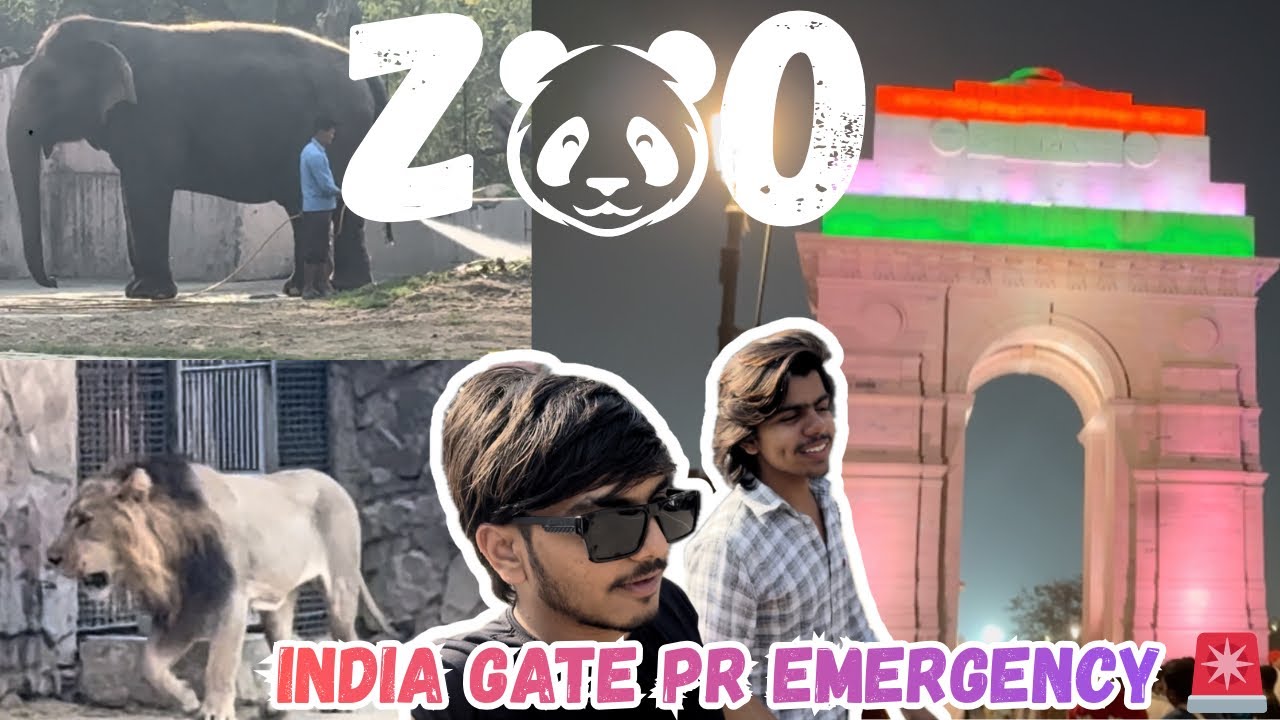 ||India Gate Khali Krva Diya Pta Ni Kya Ho Gya😮||…||Lion Dekh Gya||#dailyvlog #trending #viral 