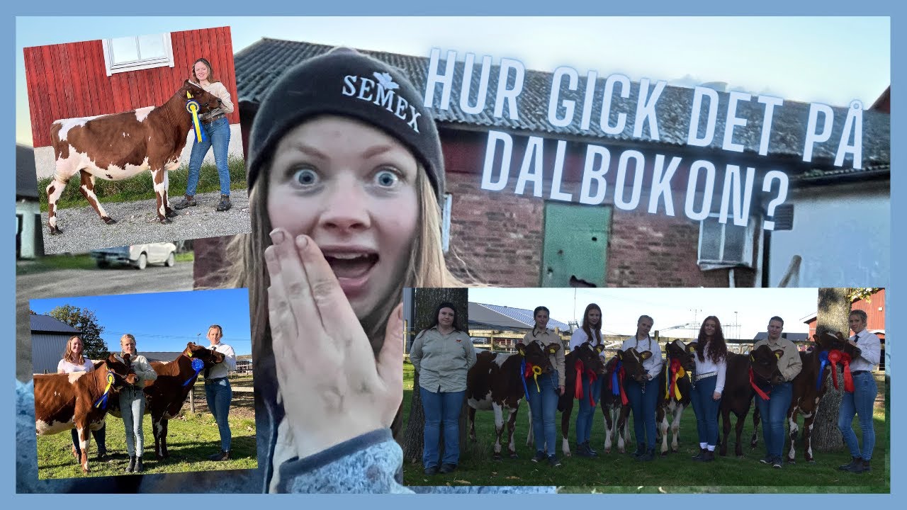 Reservchampion och andra bra placeringar! Vlogg 78