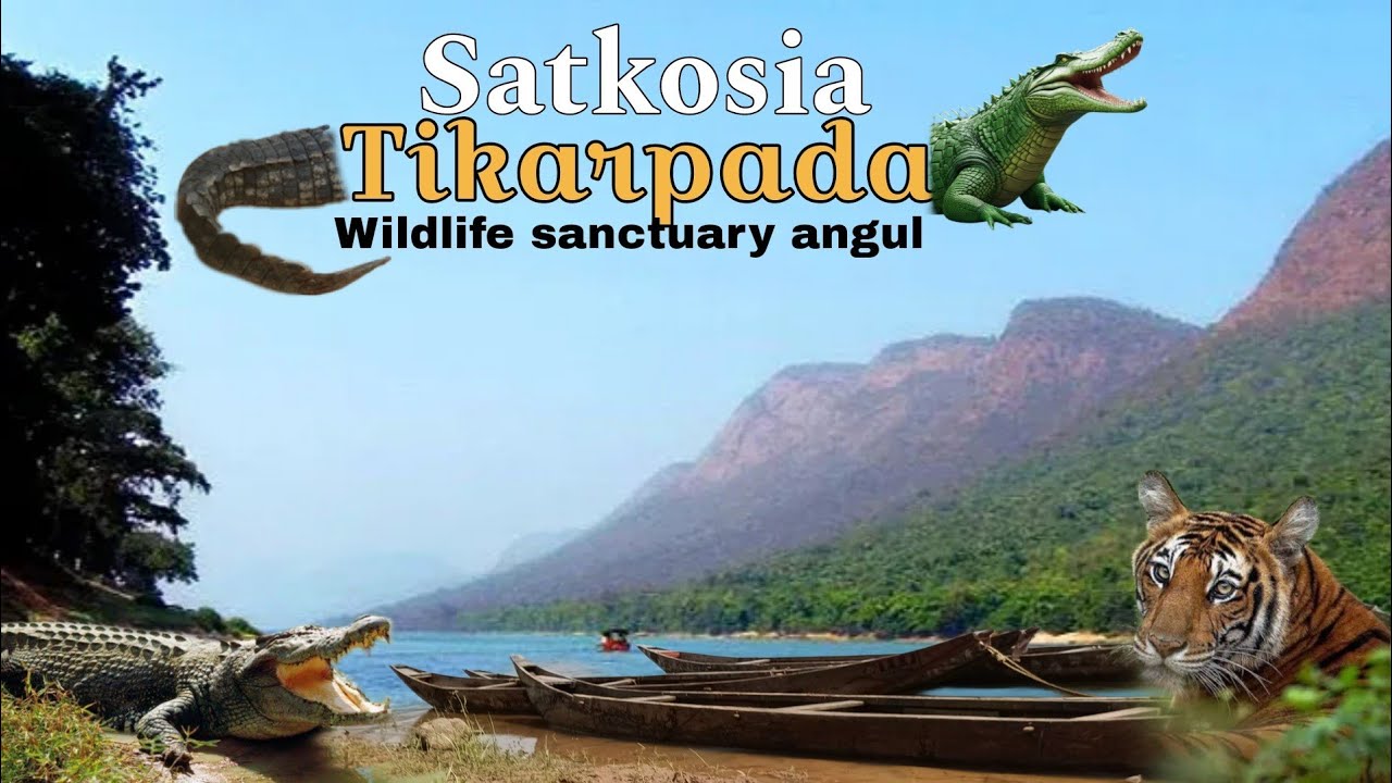 Tikarpada Nature Camp, Satkosia Wildlife Video #tikarpada #satkosia #wildlife#angul 