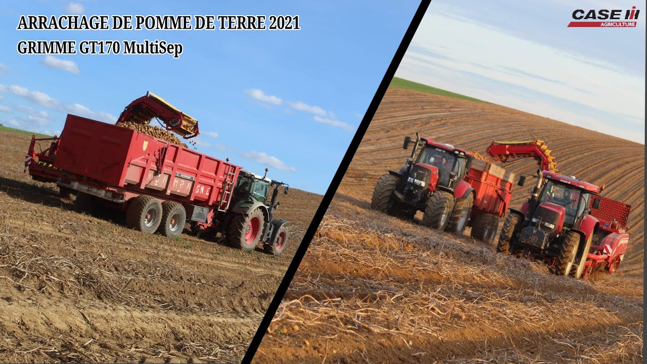 ARRACHAGE DE PDT / GRIMME GT 170 MultiSep / CASE IH