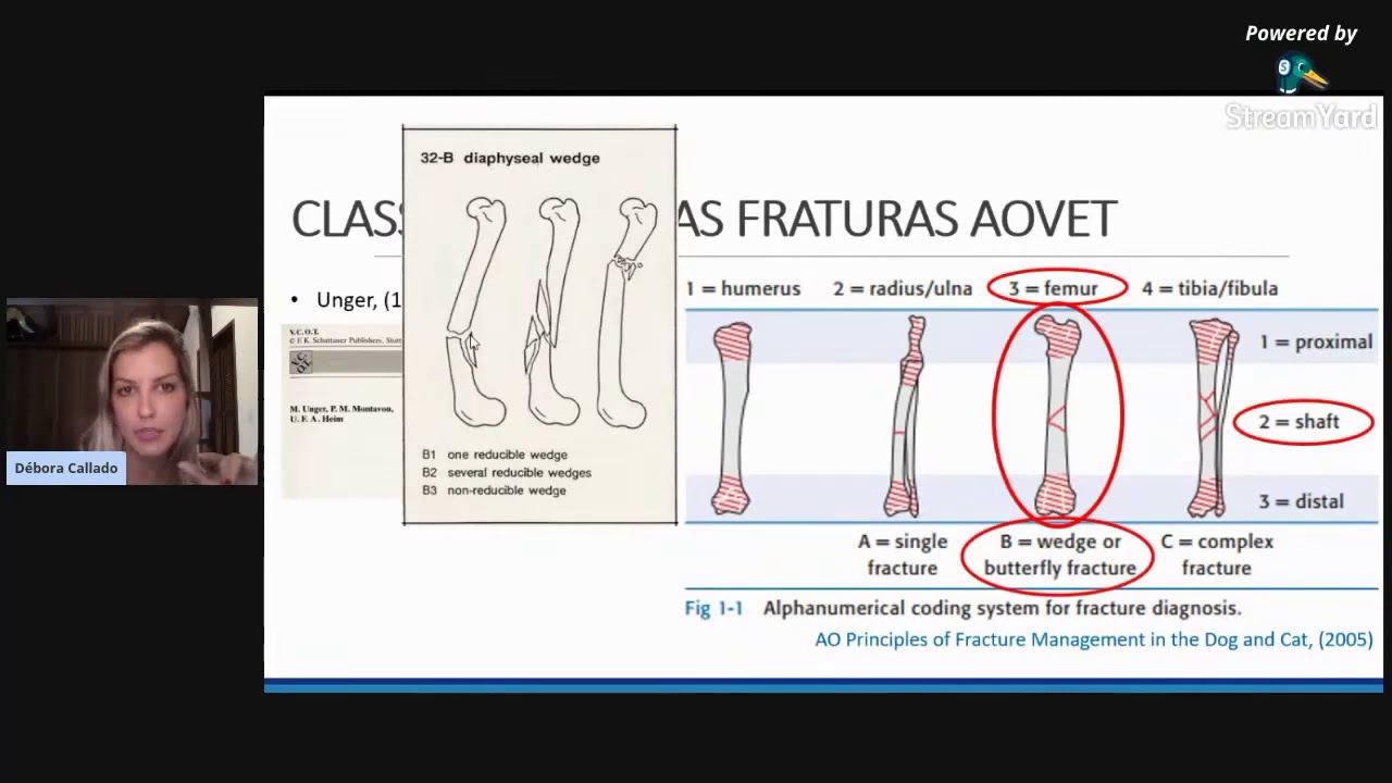 Princípios no Manejo de Fraturas  em Cães e Gatos