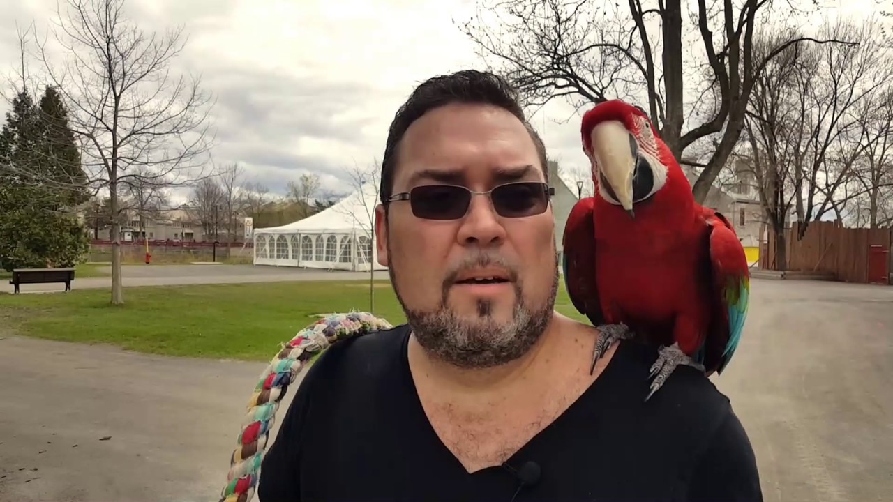 Sortie au parc, en mai fais ce qu'il te plait !!!!