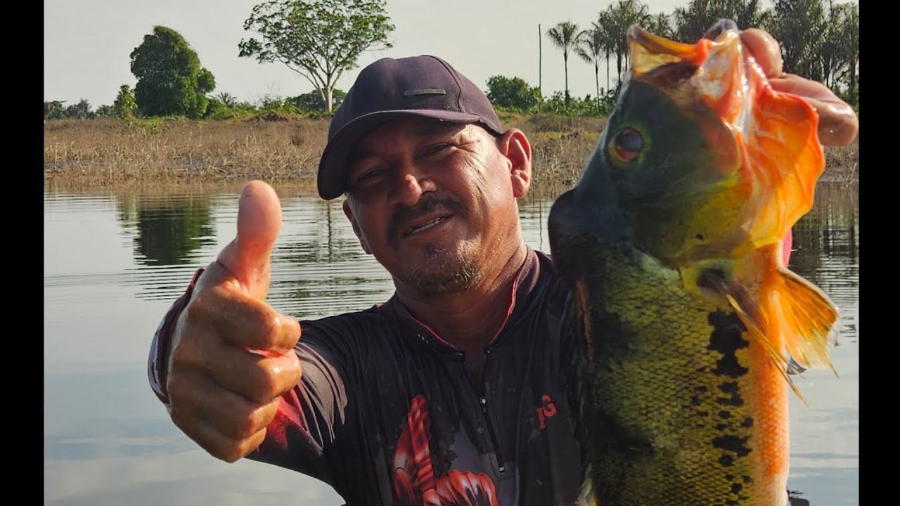PESCARIA DE TUCUNARÉ NA VARA DE BAMBU COM ISCA VIVA 