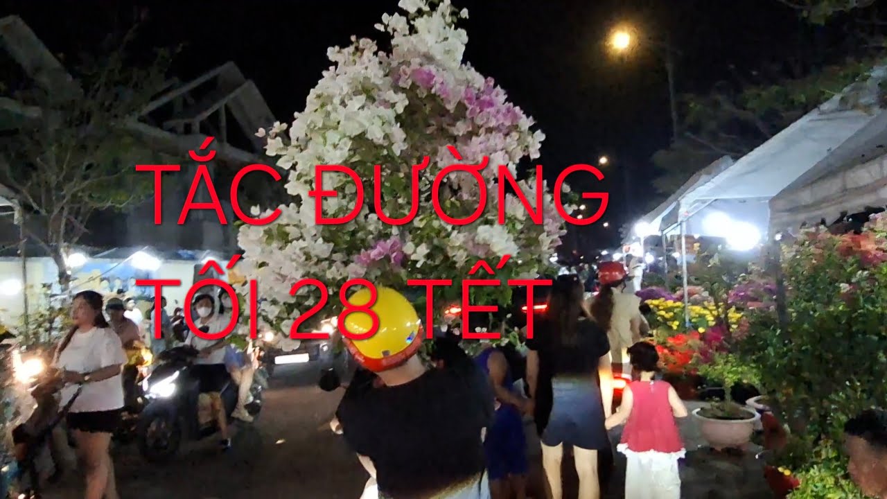  HỘI HOA XUÂN BẾN CÁT ĐÊM 28 TẾT TẮC ĐƯỜNG