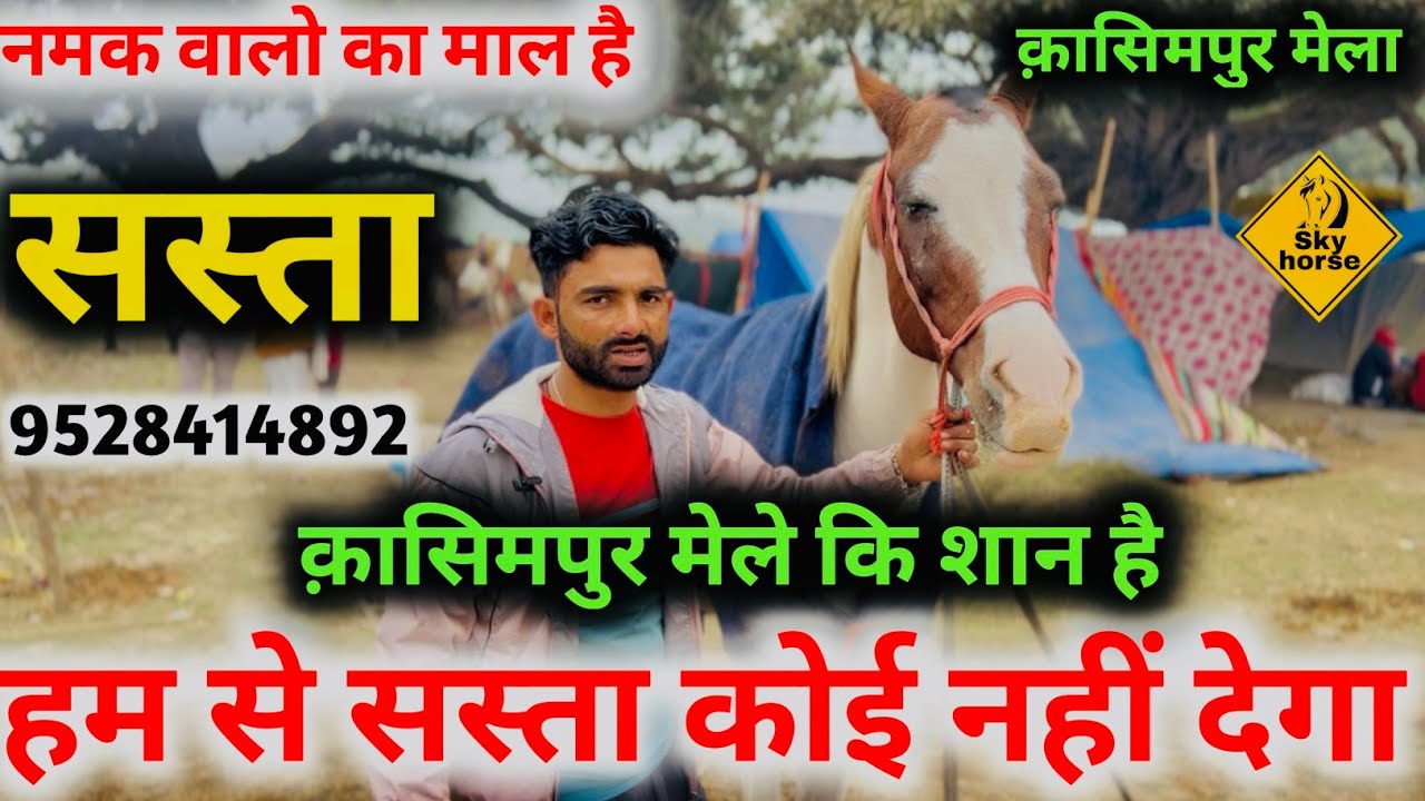 Наим Бхаи сказал, что мои лошади — высокопородные. #kasimpurghodamela