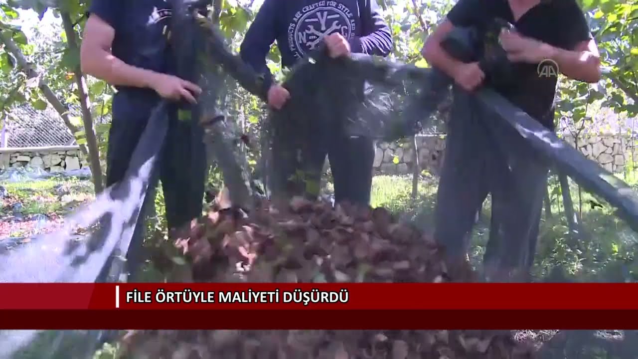 File &ouml;rt&uuml;yle maliyeti d&uuml;ş&uuml;rd&uuml;