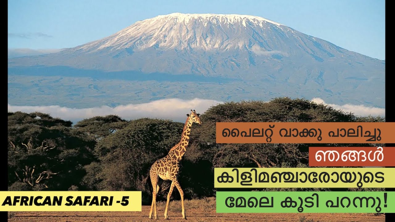 ഞങ്ങളുടെ അഭ്യർഥന മാനിച്ച് പൈലറ്റ് വിമാനം കിളിമഞ്ചാരോ പർവതത്തിന്റെ മേലെ കൂടി പറപ്പിച്ചു-അപൂർവ ദൃശ്യം!