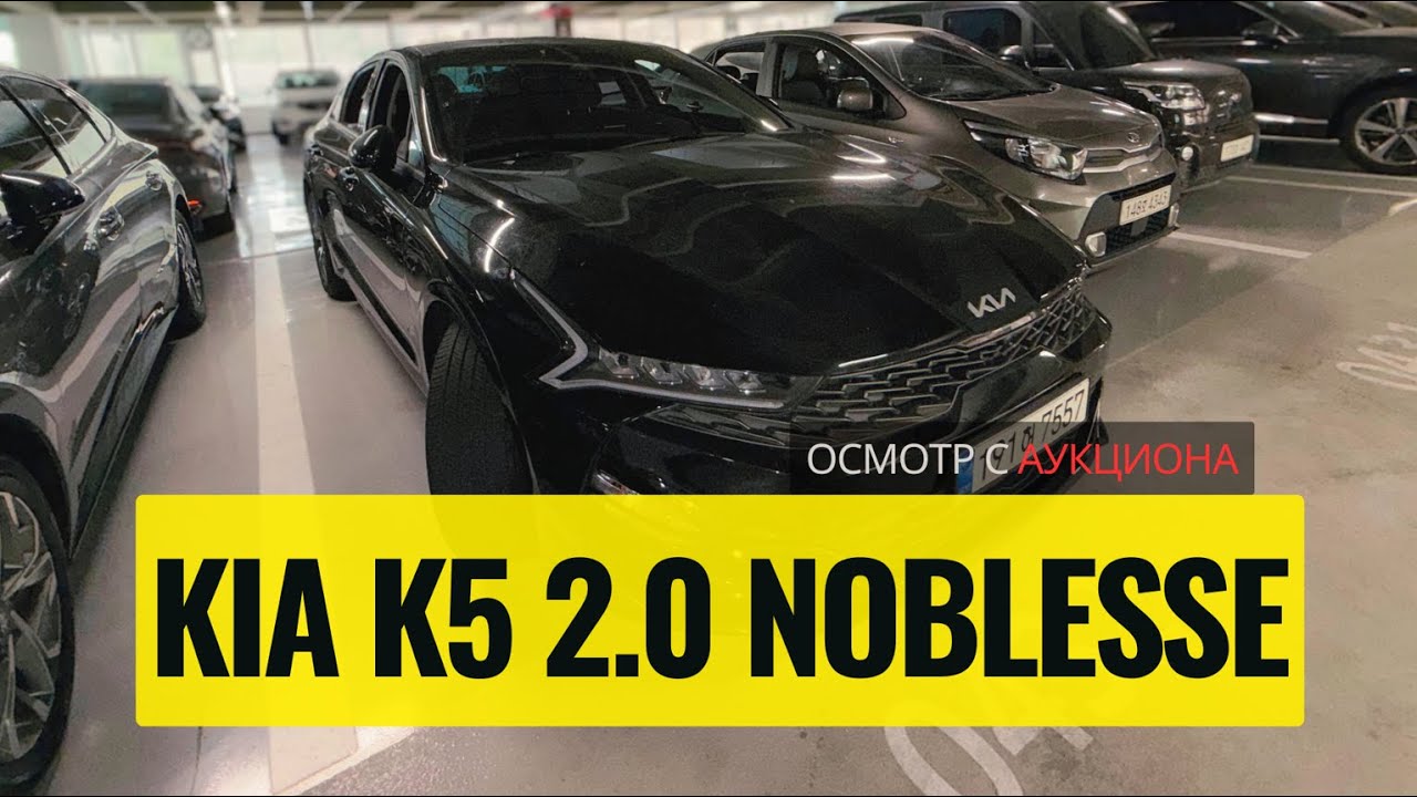 KIA K5 2.0 Noblesse 2022 | Осмотр с аукциона в Корее | Стоит ли 2.5 млн во Владивостоке?