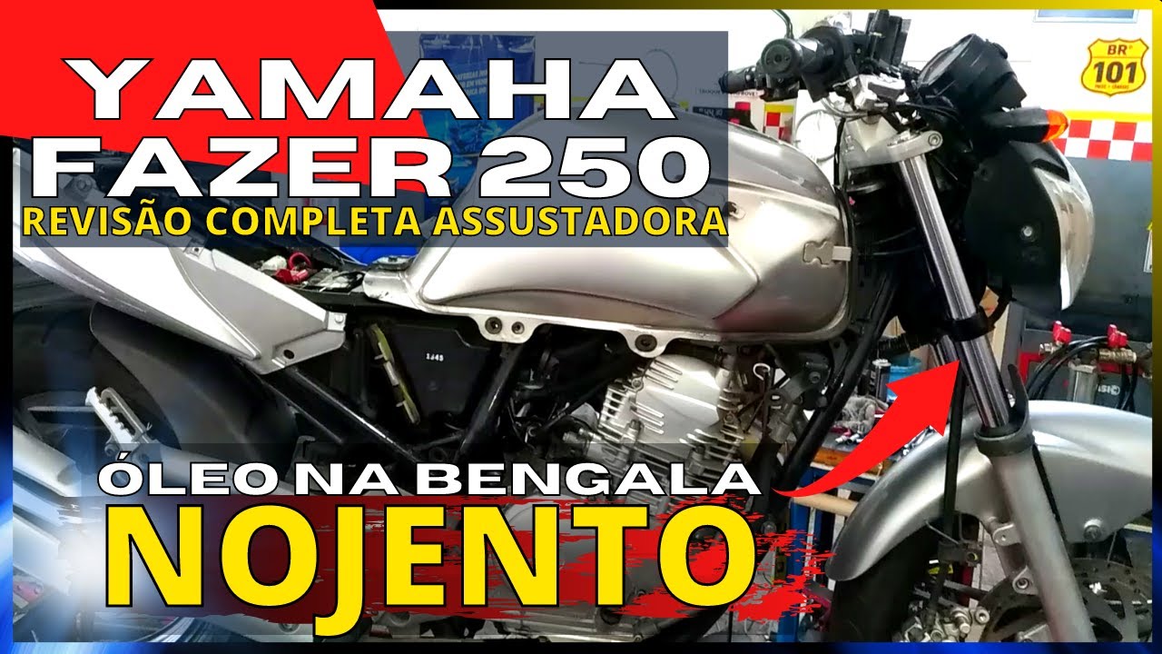 REVISÃO COMPLETA YAMAHA YS 250 [ASSUSTADOR] COMO VERIFICAR O CONJUNTO DA EMBREAGEM 