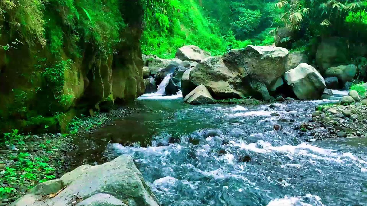 Restore your Soul by the River, Soft Sound and Forest River Sounds | sleep - relax - Stress Relief