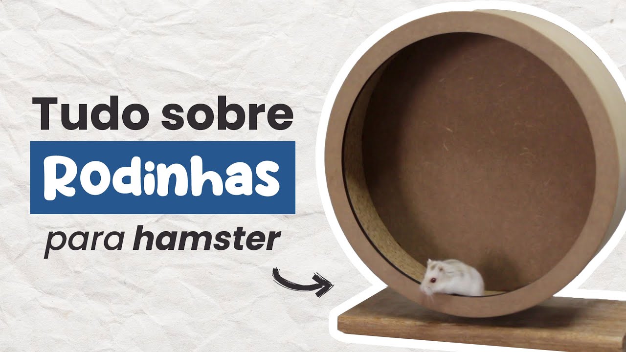 RODINHAS PARA HAMSTERS - Tudo o que você precisa saber