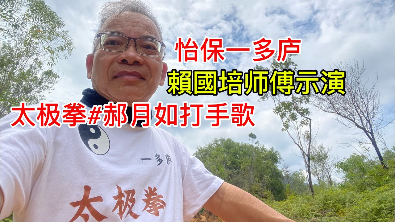 太极拳#郝月如打手歌#賴國培师傅示演#kungfu#怡保一多庐