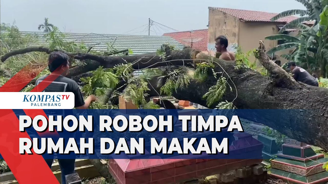 Pohon Roboh Timpa Rumah dan Makam