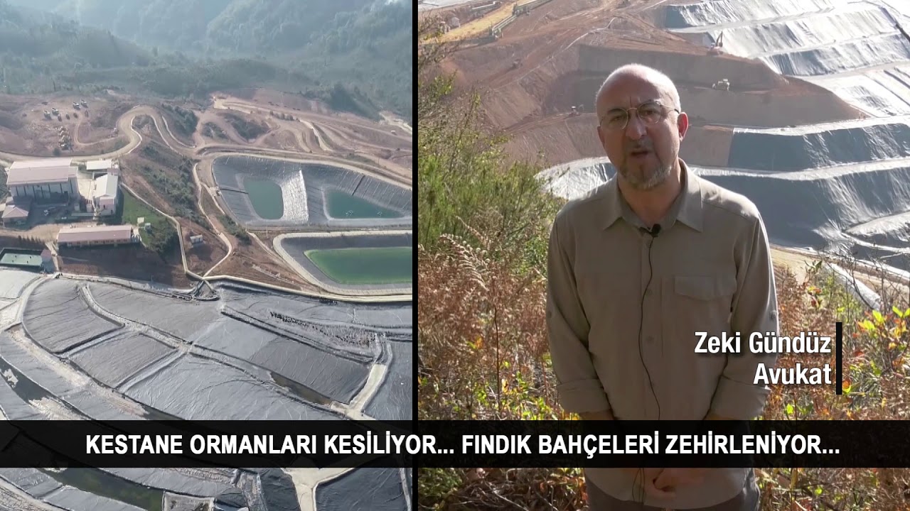 Siyanürlü altın madeni Fatsa’yı zehirliyor. Mutlaka izleyin