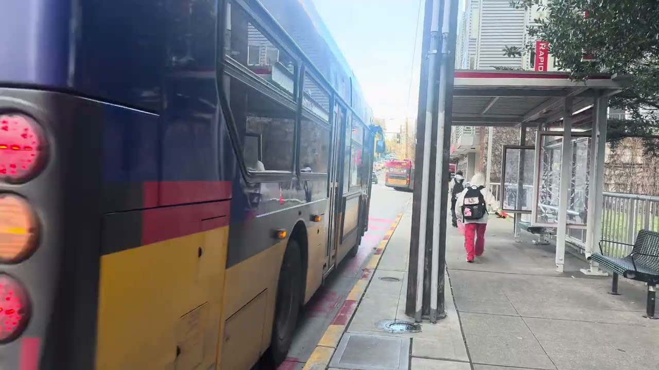 King County Metro Bus Action @ 35th Avenue & Avalon Way 2/9/26