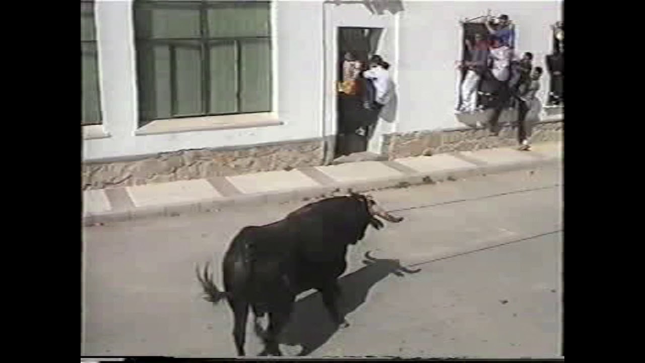 Toro de cuerda 2002 tarde (Gaucín)