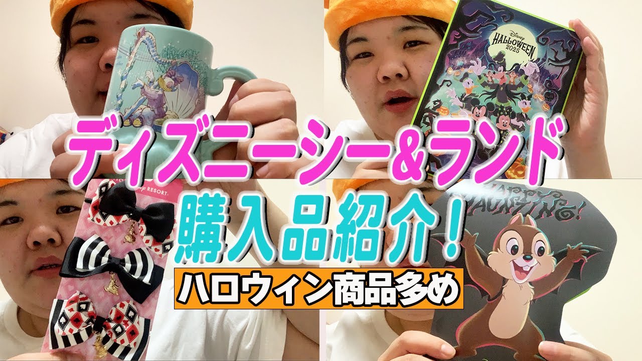 ディズニーシー&ディズニーランド購入品　近い日程で両方行ってきたよ♪