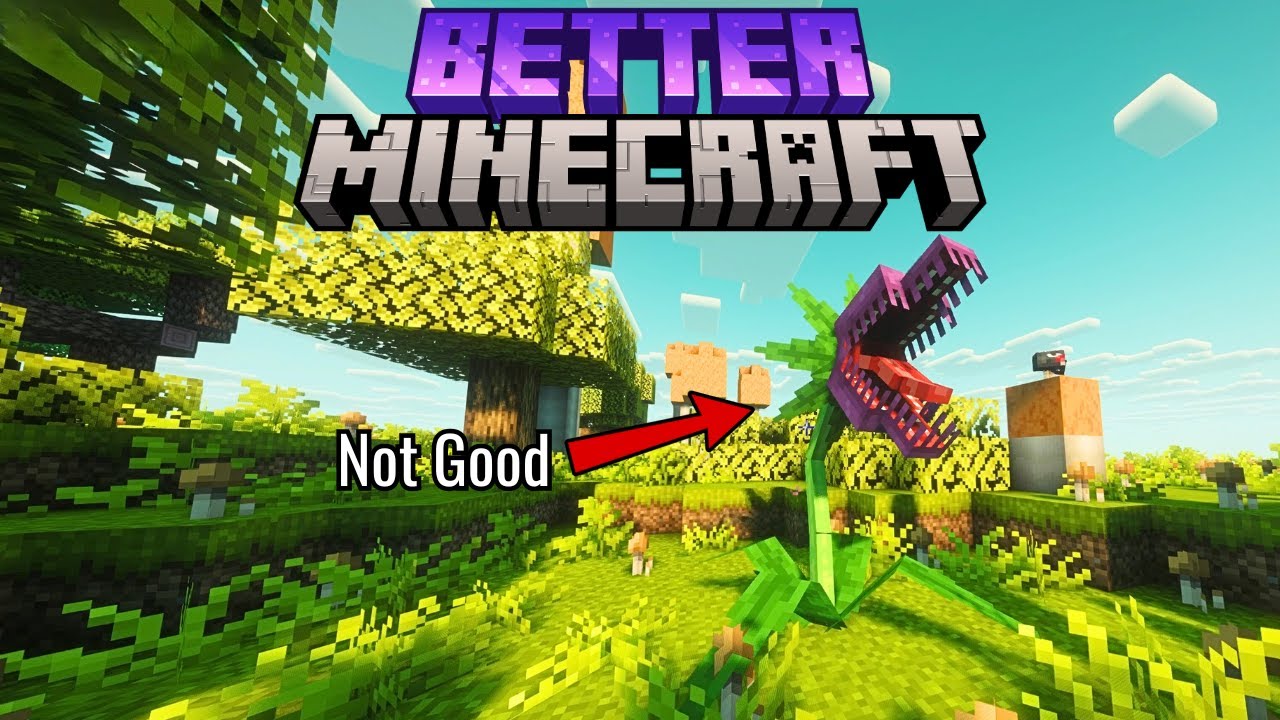 We played Better Minecraft