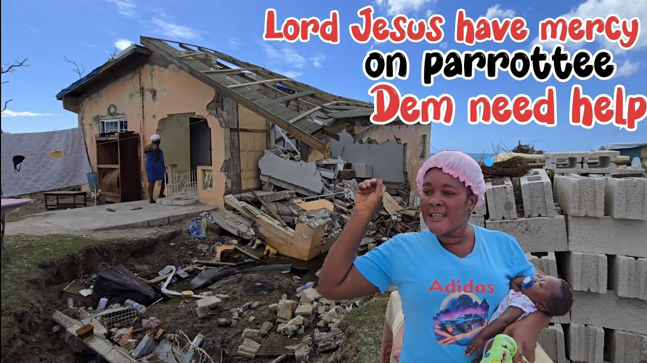You want to see suffering ??? Go to parrottee , unprecedented suffering #jamaica #melissa #stress