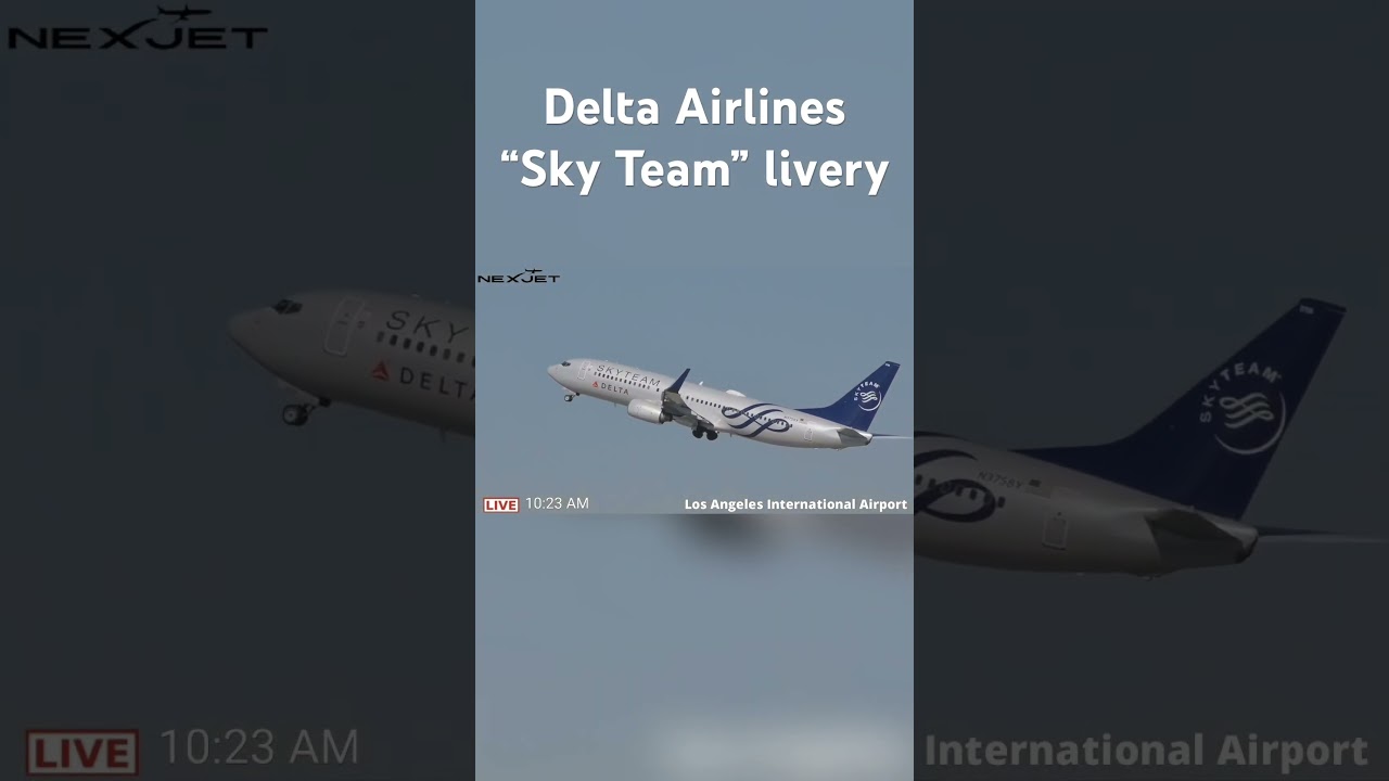 Delta Airlines Boeing 737 “Sky Team” livery. Los Angeles International Airport. KLAX