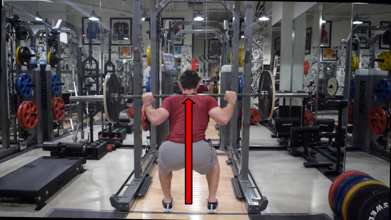 Vectors in Performance Training