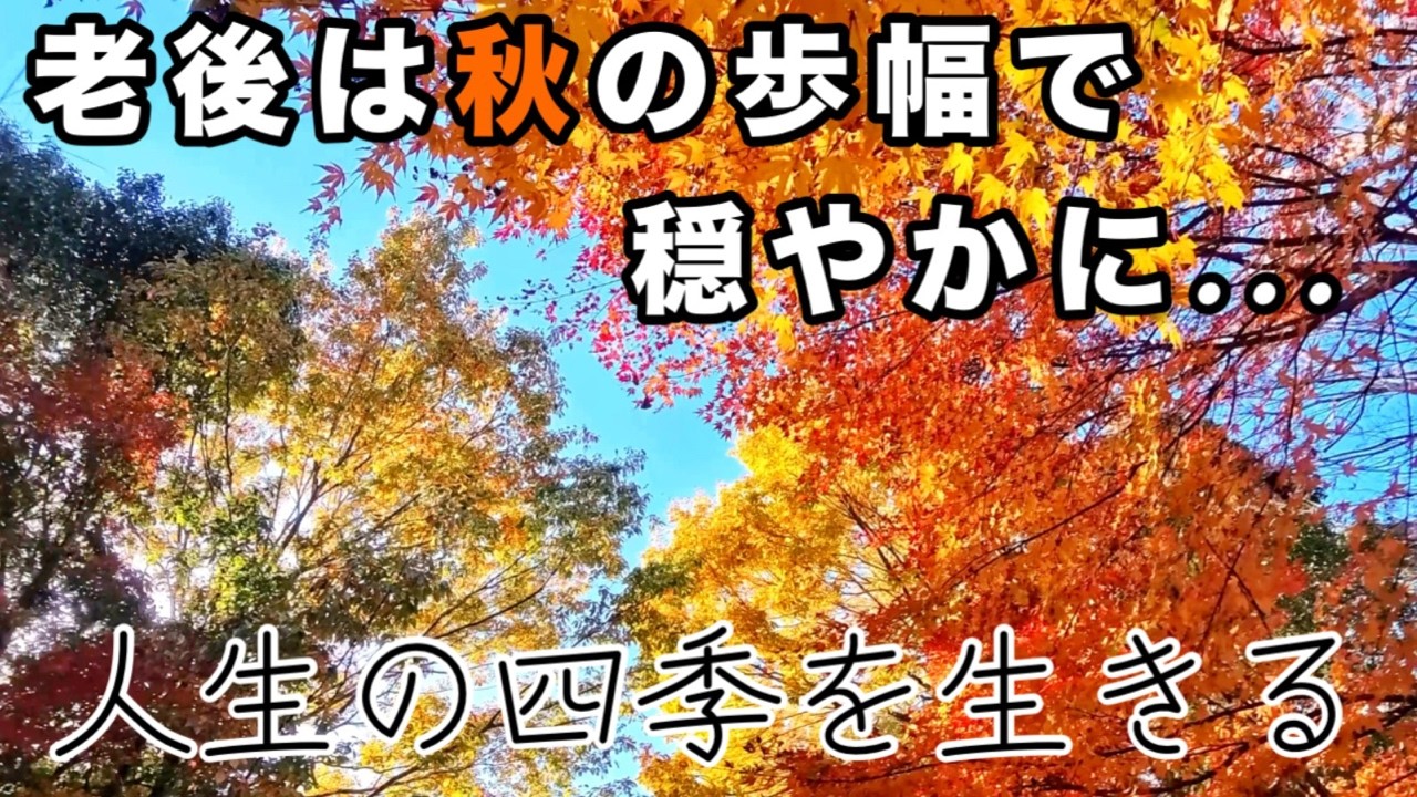 【老後の幸福】老後の人生は秋の様に美しい、62歳で見えた老後の幸福【第二の人生】老いても楽しむ、心豊かなシニアライフ