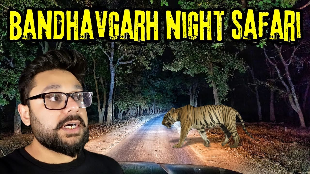 Bandhavgarh Night Safari | In Search of the Tiger through dense core zone