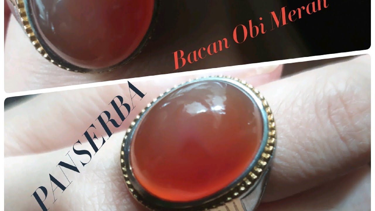 Bacan Obi Merah. Ukuran Besar. By PANSERBA