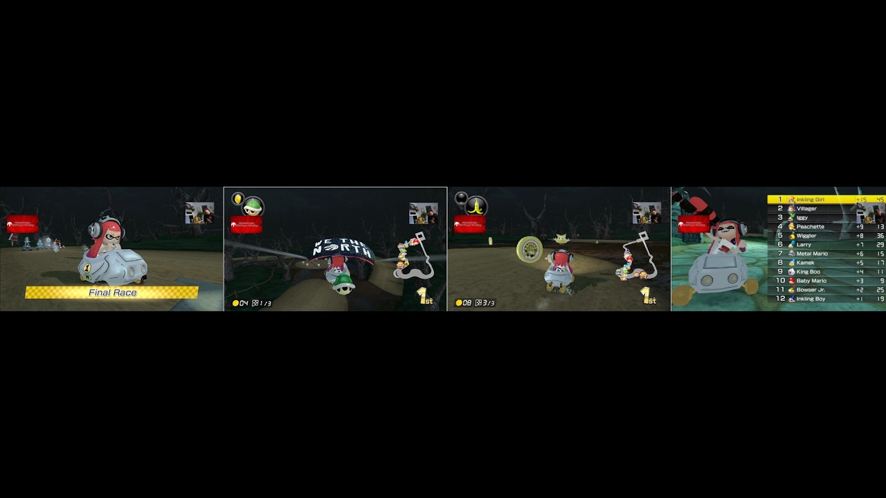 Boulder Mobil DS Luigi's Mansion Toronto Raptors Coin MK8D mods Yuzu Nintendo Switch Flower Cup