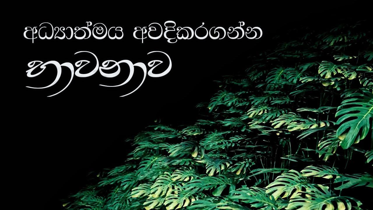 Art of Meditation | භාවනාව | සිංහල Guided Meditation