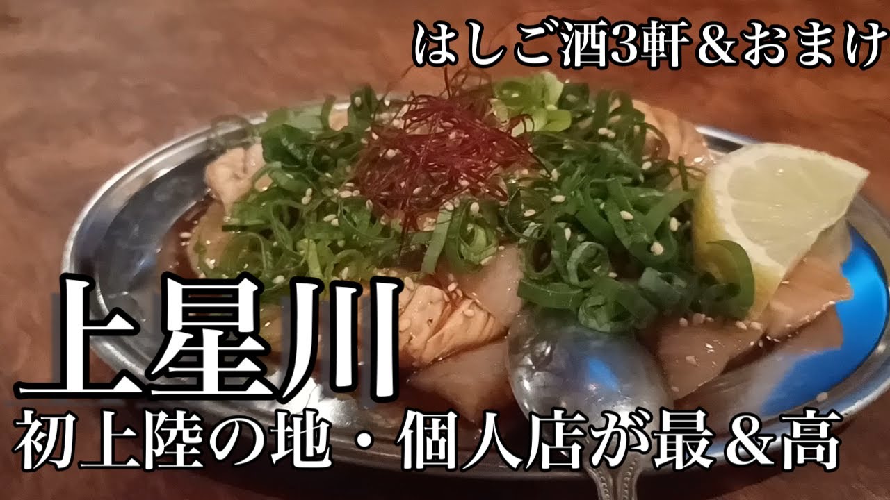 【上星川グルメ】初上陸の地で素敵なお店を知る。へべれけ確定の個人店