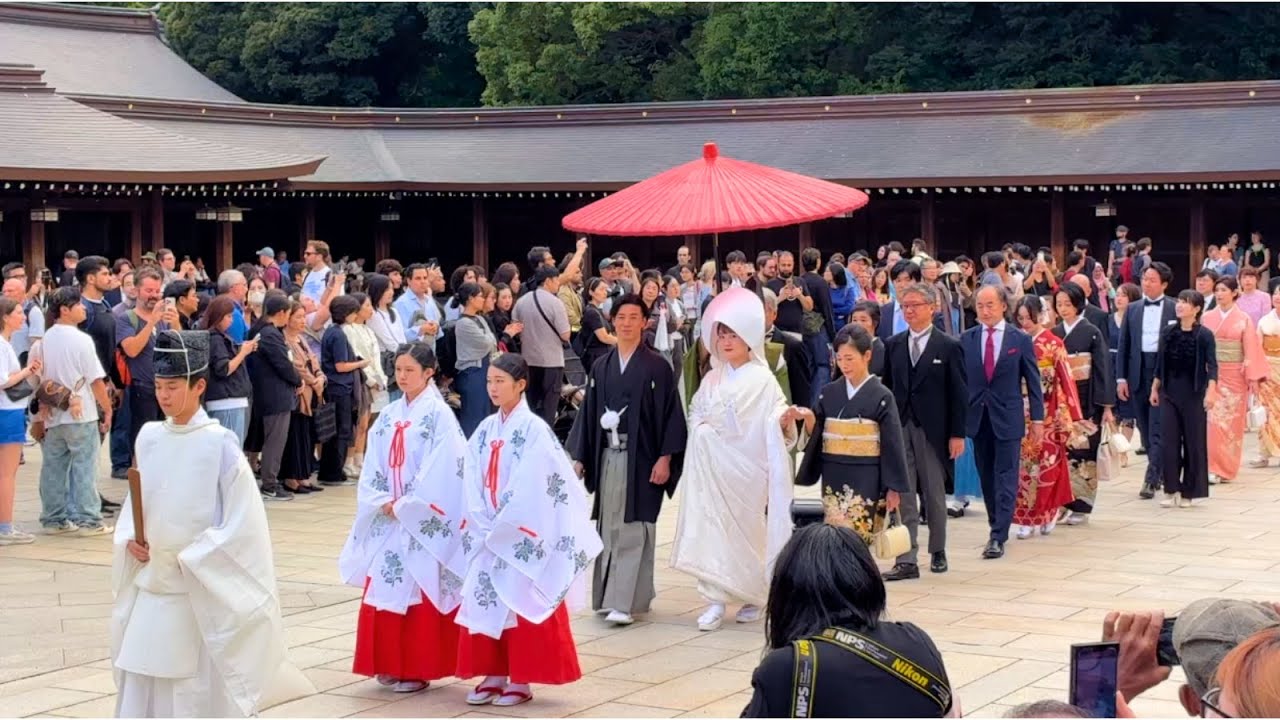 日本の伝統的な結婚式が美しすぎて言葉を失う。厳かな参進の儀と白無垢の花嫁に目を奪われる。古き良き日本の美しさが凝縮された感動の光景。日本人なら一度は見ておきたい、心洗われる至高の瞬間を映像で