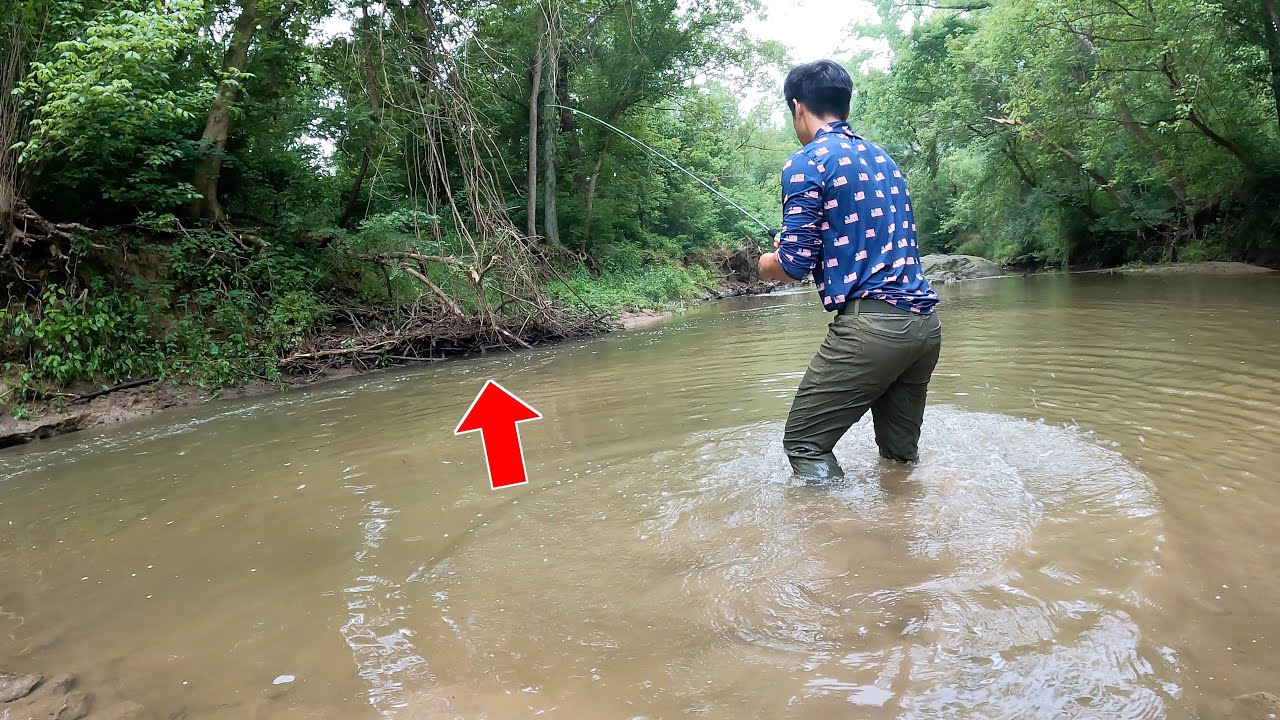 Fishing & Exploring my BACKYARD CREEK!!! (FULL of Surprises...)