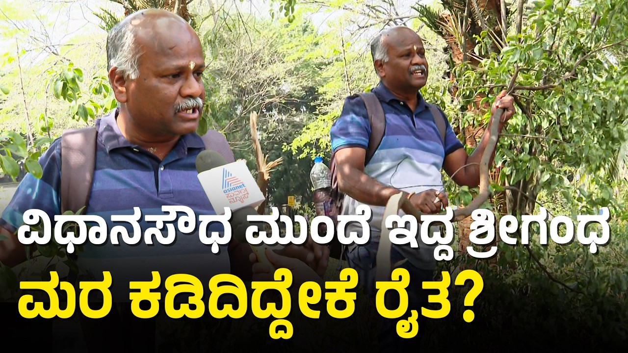 ವಿಧಾನಸೌಧದ ಮುಂಭಾಗ ಬೆಳೆದಿದ್ದ ಶ್ರೀಗಂಧ ಮರ ಕಡಿದ ರೈತ Farmer Cuts Sandalwood Tree Infront Of Vidhana Soudha