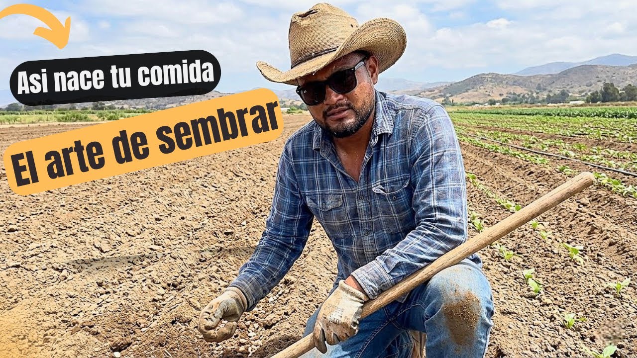 Esto debe de pasar para que te comas una ensalada | Mujeres Chingon@s 🫰🏻