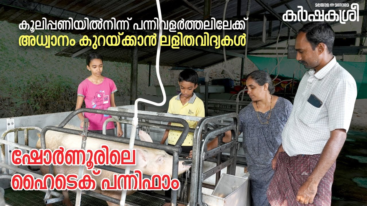 കുഞ്ഞുങ്ങൾ നഷ്ടപ്പെടാതിരിക്കാൻ ഹൈടെക് ഫാം, ഒപ്പം അധ്വാനഭാരം കുറയ്ക്കാൻ സാധാരണക്കാരന്റെ സംവിധാനങ്ങളും