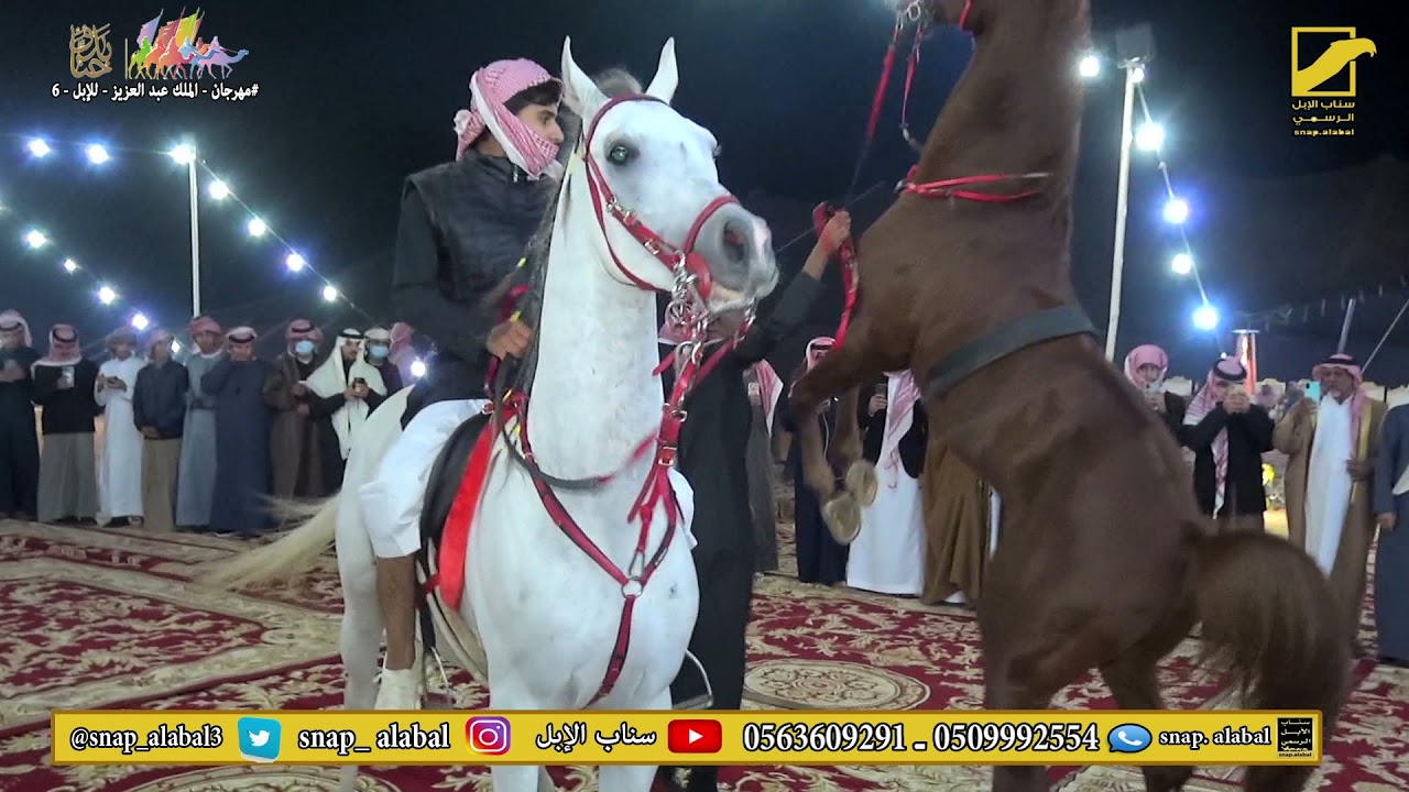 حفل الشيخ  نغيمش بن فهد ابن قروش والشيخ  راكان بن فهـد ابن قروش لقبائل قحطان ( بني مضيم )