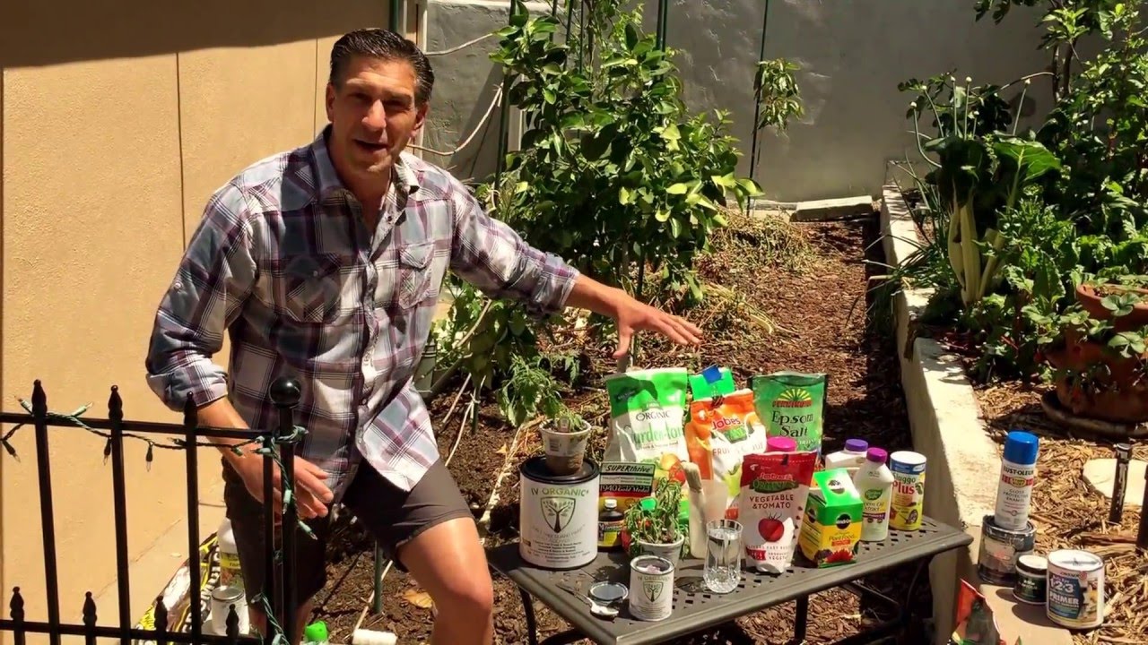 TOMATO TIPS--DAY 1: Organic vs. Inorganic Gardening | IV Organic Sunblock | Vertical Garden + MORE
