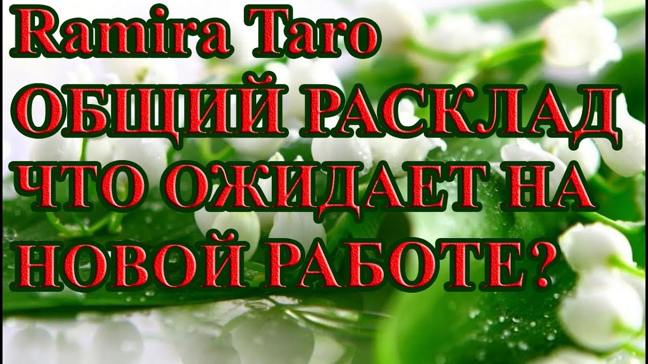 ЧТО ОЖИДАЕТ НА НОВОЙ РАБОТЕ?