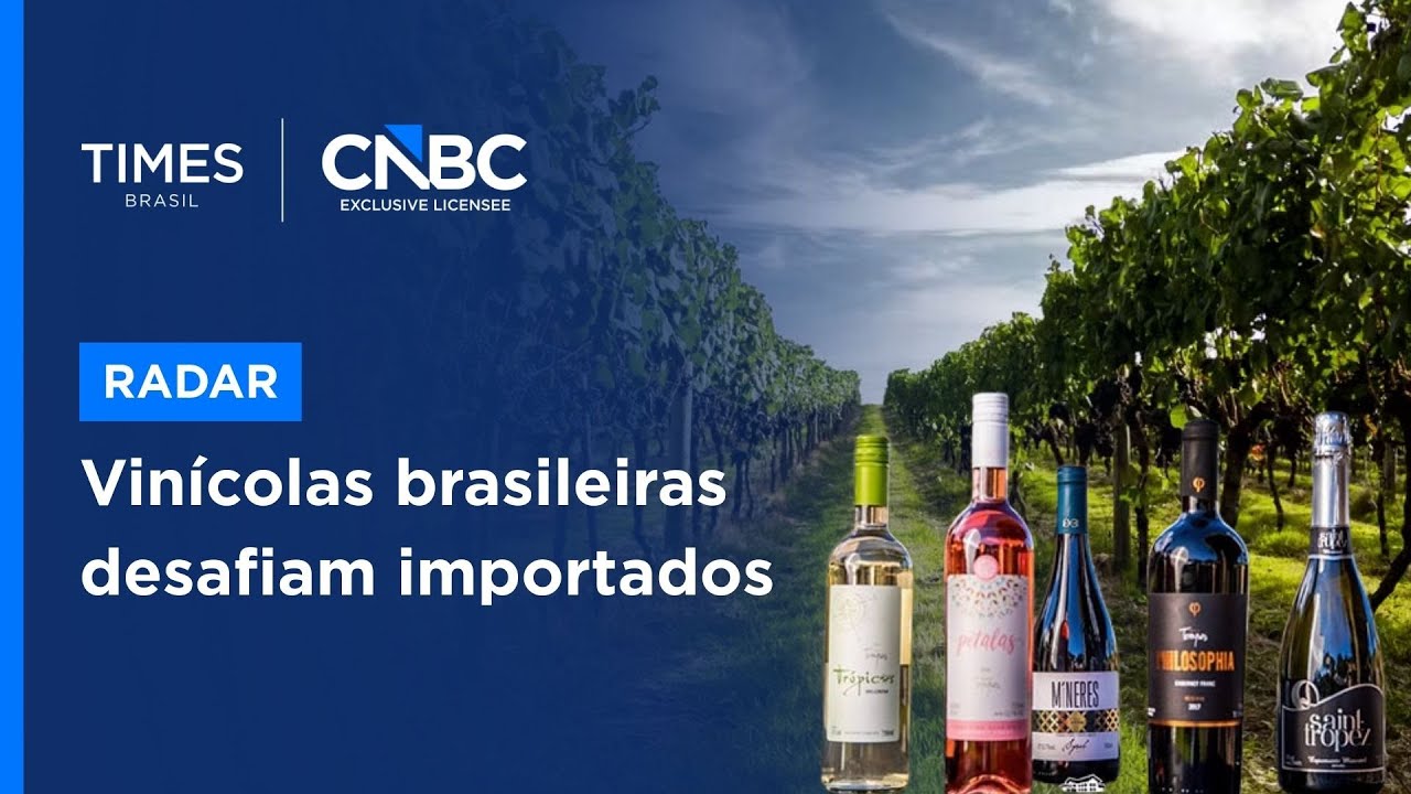 Vinho brasileiro sobe de patamar e mira o segmento premium em meio a acordo UE-Mercosul
