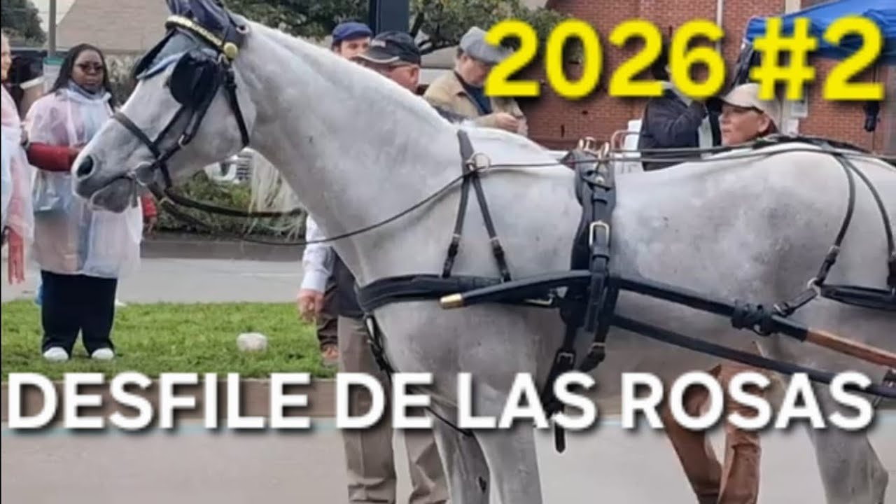 CONTINUACION DEL DESFILE  DE LAS ROSAS  SUSCRibETE