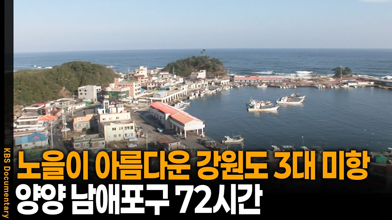 동해안 최고 일출 명소, 강원도 3대 미항 양양 남애포구를 가다 | 강원 남애포구 72시간 | KBS 20091212 방송